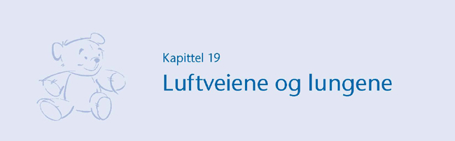 Kapittel 19.jpg