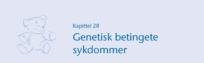 Kapittel 28.jpg